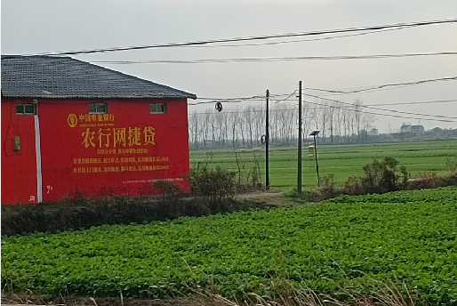 仁寿如何防止墙体广告褪色呢？