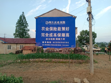 仁寿墙体广告的优劣势你知道吗？