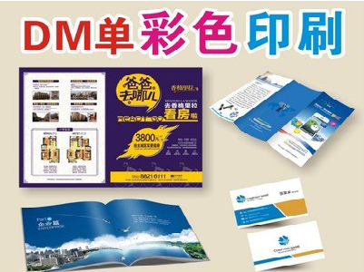 仁寿单页印刷，色彩搭配简单。